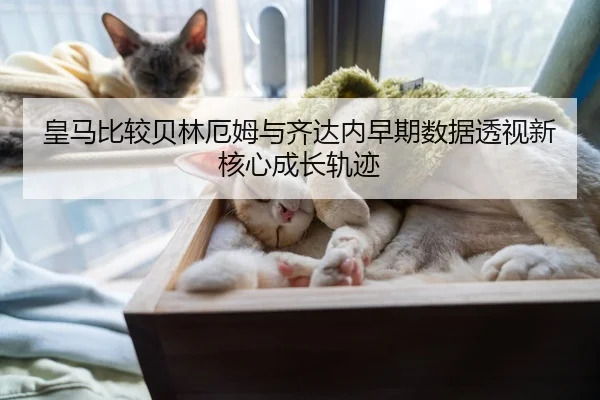 huang-ma-bi-jiao-bei-lin-e-mu-yu-qi-da-nei-zao-qi-shu-ju-tou-shi-xin-he-xin-cheng-zhang-gui-ji-3-332.jpg