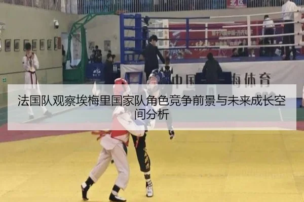 法国队观察埃梅里国家队角色竞争前景与未来成长空间分析